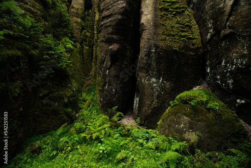 moss covered rocks © Sieku Photo