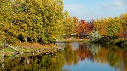 Autumn tree colors reflect in a local pond