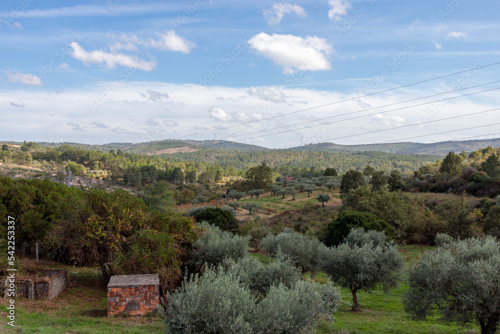 Fototapeta premium Magnificent Portuguese Landscape Surrounding Tomar