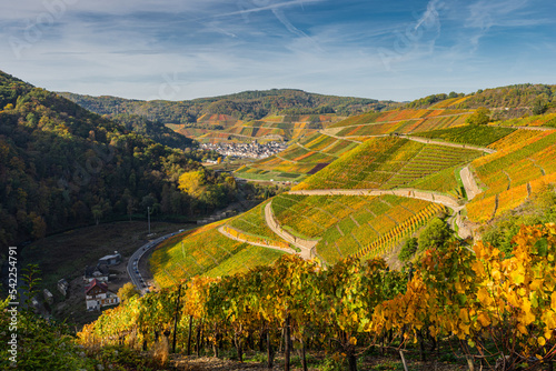 Weinberge bei Dernau an der Ahr im Goldenen Oktober 2022