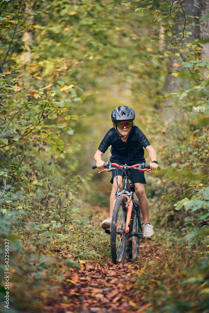 Fototapeta premium Enfant en vélo dans les bois en automne