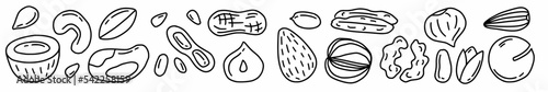 Vector horizontal pattern with different types of nuts hand-drawn in doodle style.