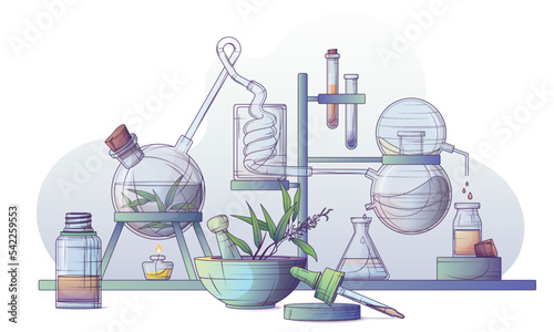 Technological production of essential oil and flower water. Steam distillation apparatus. Vector illustration of making tea tree oil in a chemical laboratory. Mortar and pestle. 