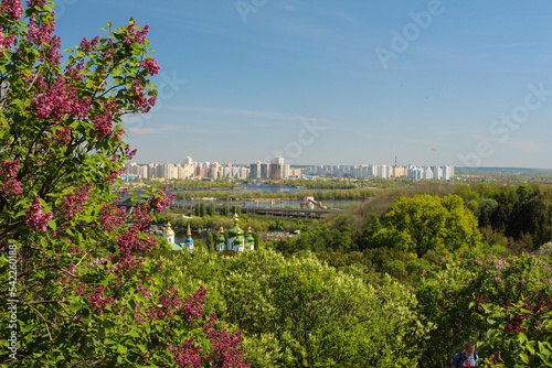 Purple lilac flowers on the background of the cityscape. Botanical Garden in Kyiv. Spring flowers.
