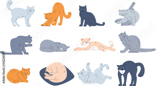 Cute funny cats collection. Kitten character sleep, play and walk. Purebred cat on pillow. Cartoon pets design in various poses, kicky vector animals