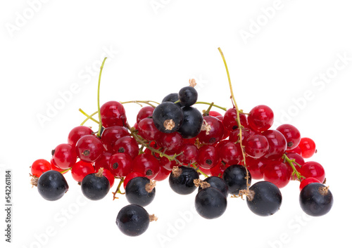 currant berries isolated