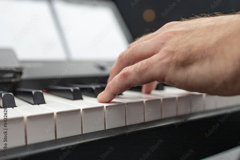 Fototapeta premium person playing piano, person playing piano