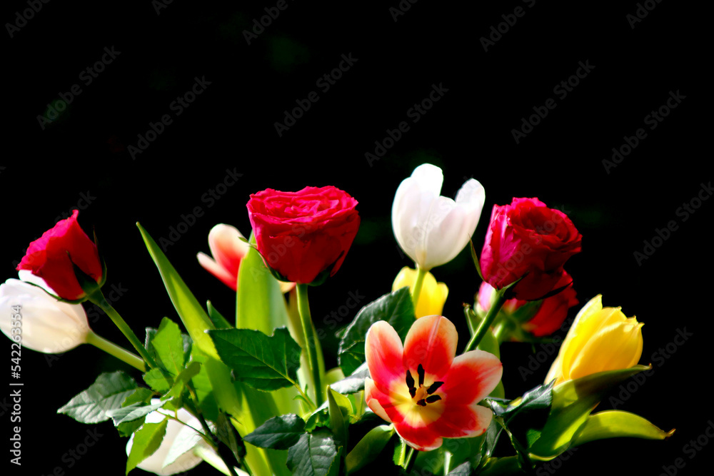 blumen auf schwarzem intergrund blumen auf schwarzem intergrund