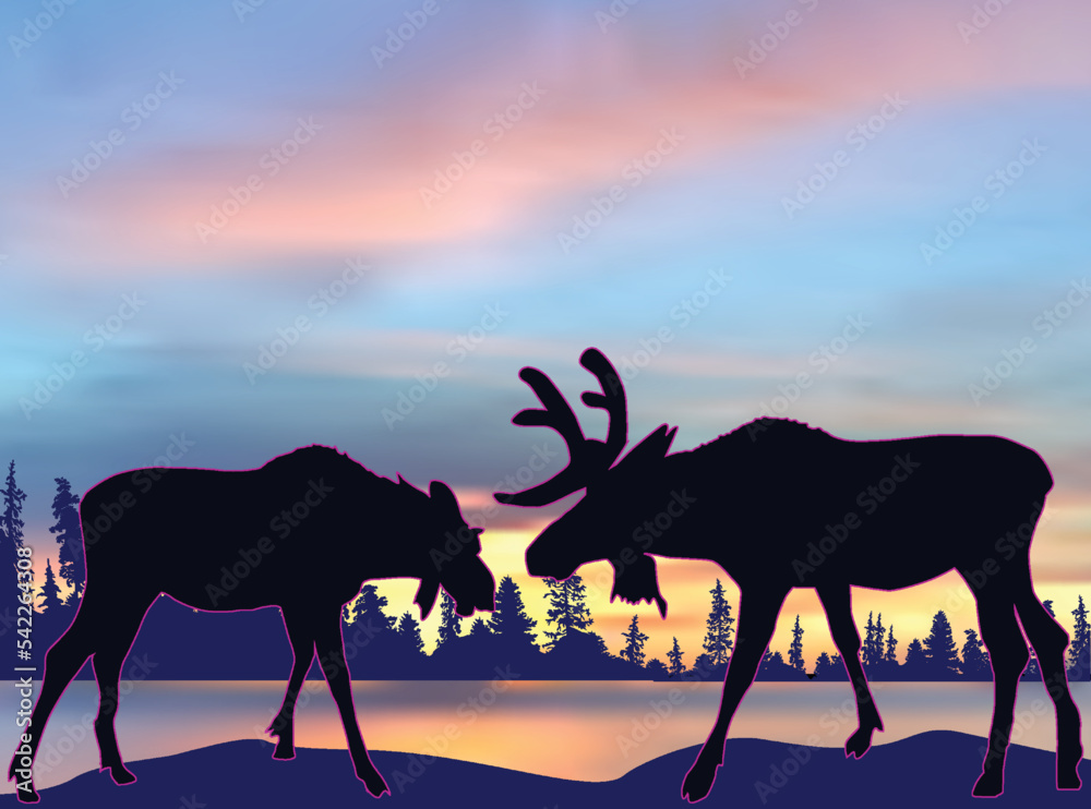 two deers silhouettes and pink sunset