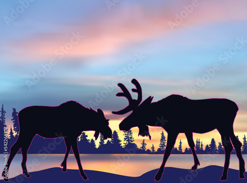 two deers silhouettes and pink sunset