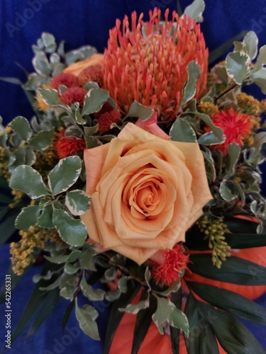 Schnittblumen mit orangen Rosen und Nadelkissen Blüte, und Zierkürbis vor blauem Hintergrund