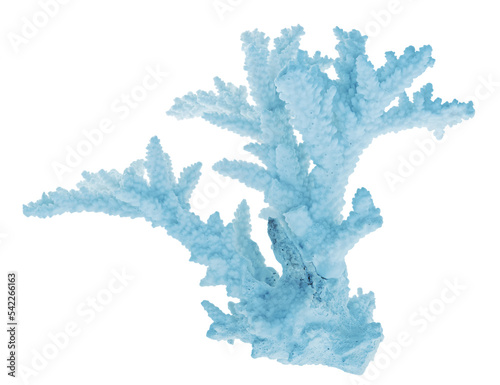 Fototapeta Naklejka Na Ścianę i Meble -  cutout light cyan coral branch