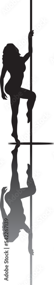 Fototapeta premium vector silhouette of a woman dancing pole dance