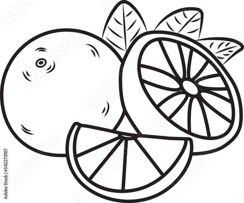 Doodle vector illustration of sliced and halved oranges