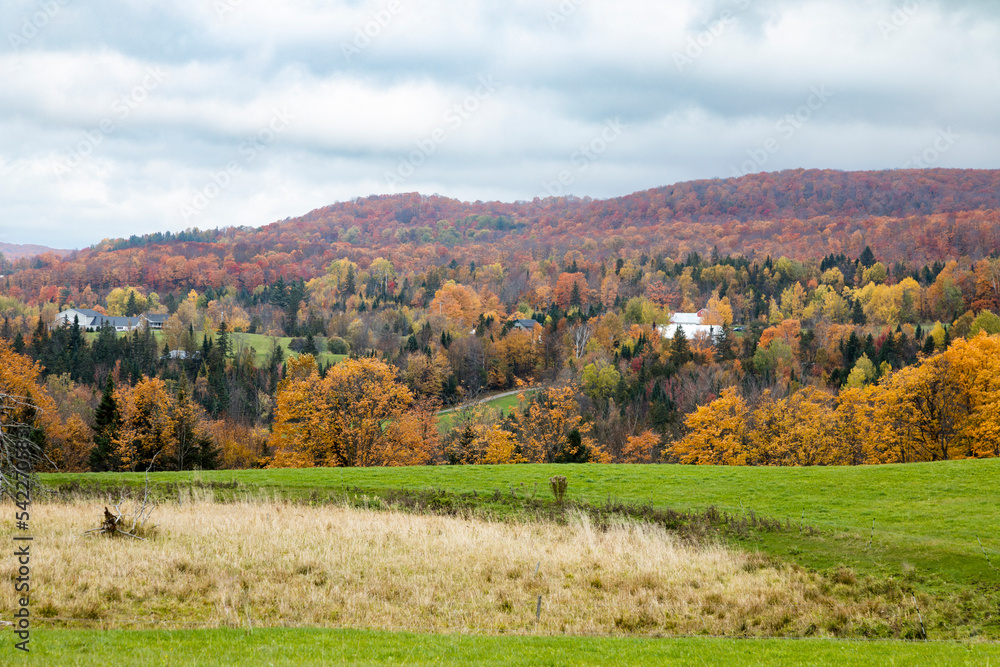 Autumn scenery, Cabot, Washington County, Vermont, USA Autumn scenery, Cabot, Washington County, Vermont, USA