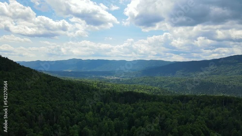 Forest plain in Slovenia during summer