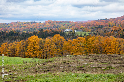 Autumn scenery  Cabot  Washington County  Vermont  USA