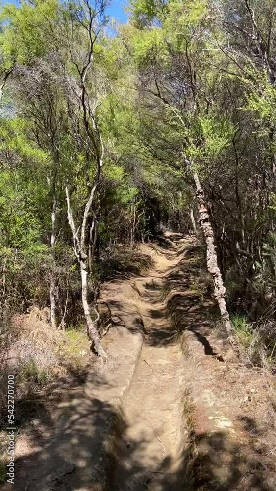 Chemin de randonnée, parc Abel Tasman - Nouvelle Zélande Chemin de randonnée, parc Abel Tasman - Nouvelle Zélande