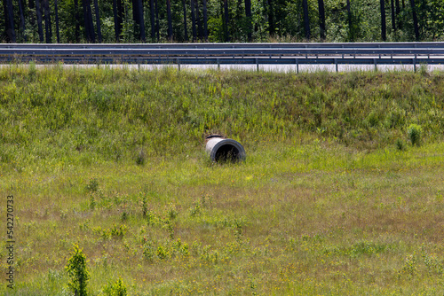 Pipe under the highway road for the water of the stream and river.