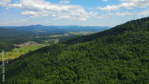 Meadow and forest in Slovenia during summer