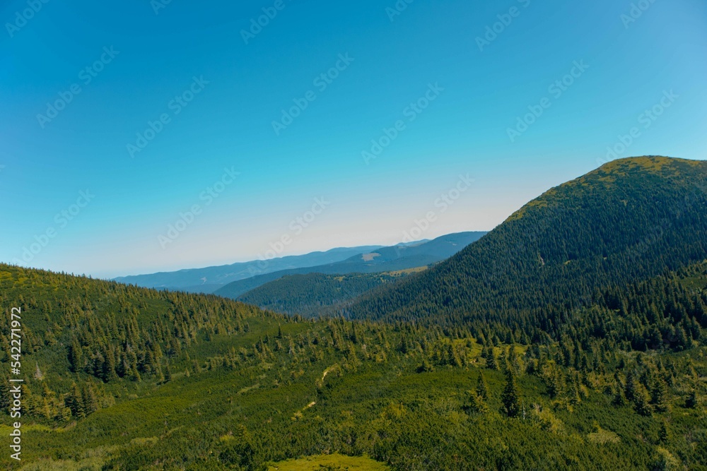 Amazing shot of the Carpathian mountains in Ukraine, Ivano-Frankivsk region on a sunny day