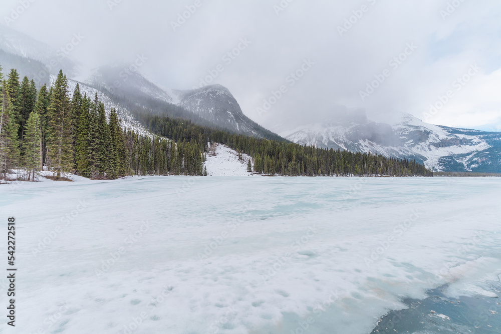 Obraz premium Frozen Emerald Lake in Yoho National Park