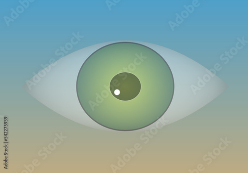 Ojo vigilante, mirada, observación. Espía