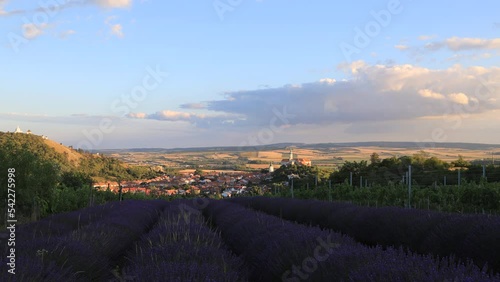 View of the city of Mikulov in the Czech Republic in Europe. Beautiful landscape, lavender field. There are dramatic clouds in the sky. Timelapse