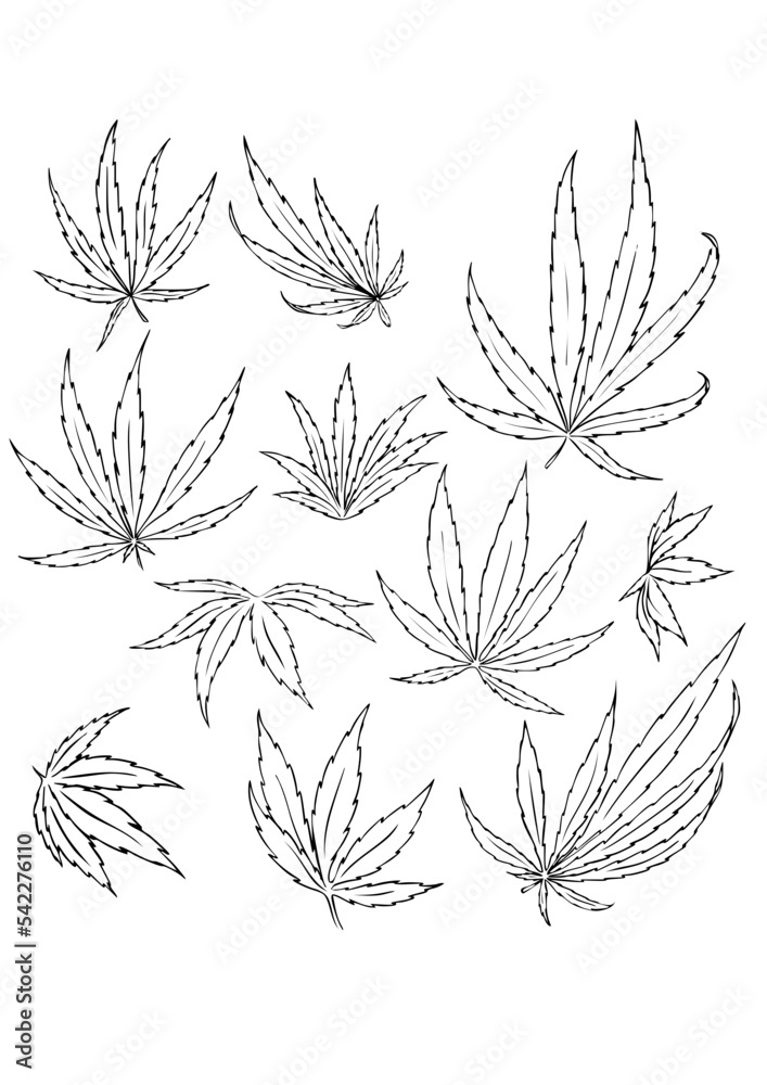 simple cannabis leafs in different perspectives simple cannabis leafs in different perspectives