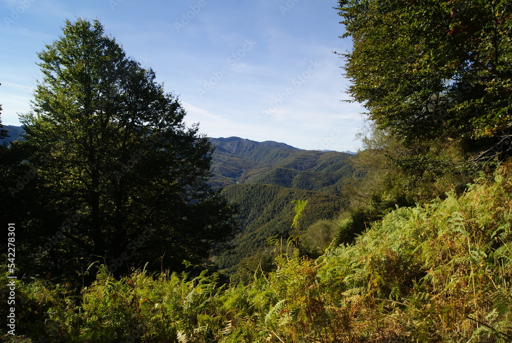 Montaña Montaña