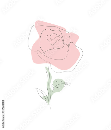 Rose in a linear style with colored spots. Black and white drawing. Simple composition. Plant. Poster
