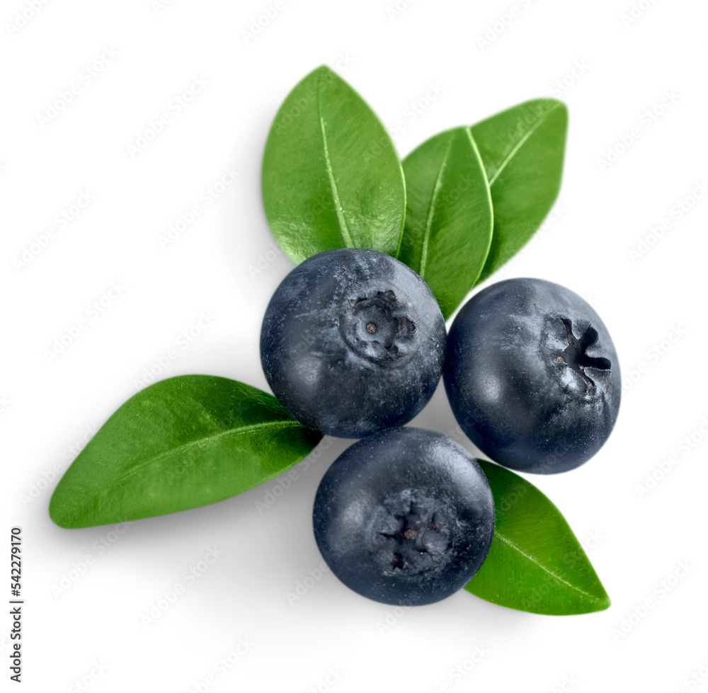Fresh blueberries fruit Fresh blueberries fruit