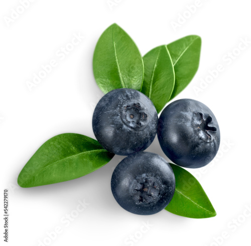 Fresh blueberries fruit