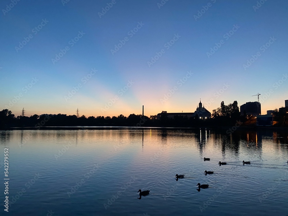beautiful sunset on the shore of the lake with ducks on the background of the city