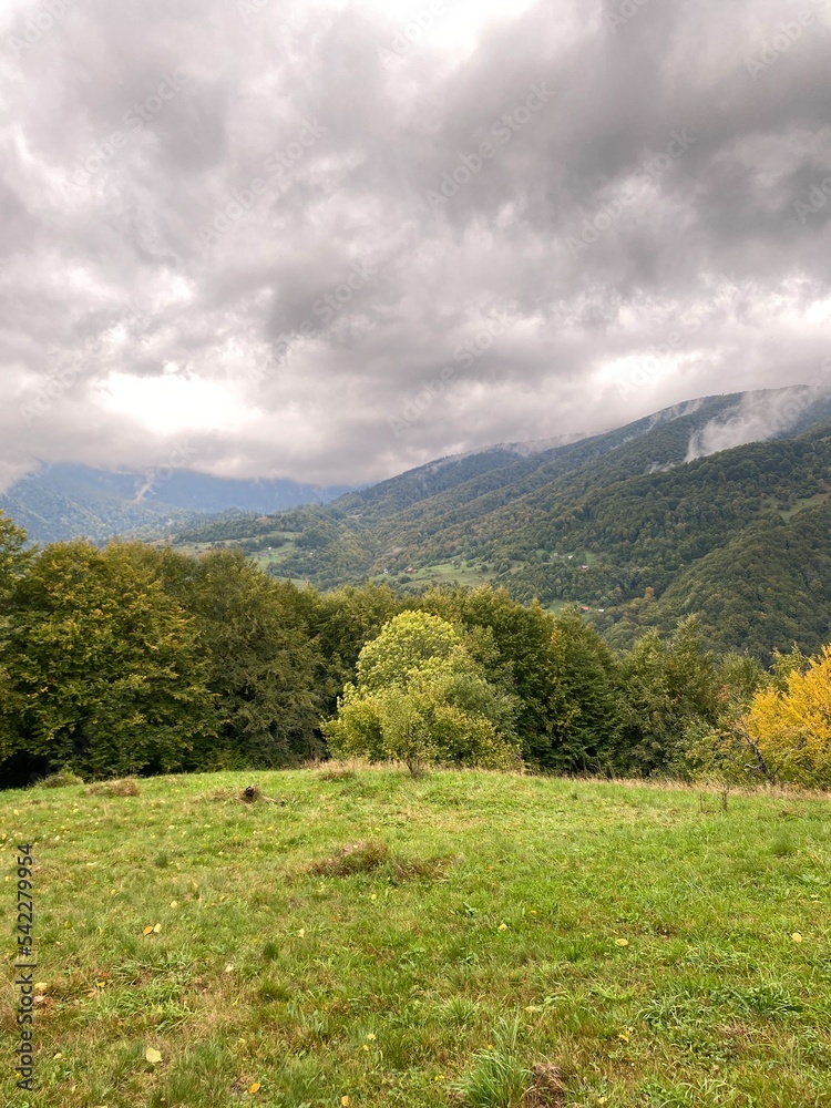 .lonely small tree, mountain autumn landscape .lonely small tree, mountain autumn landscape