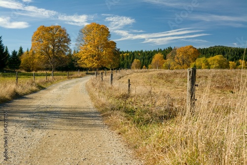 colorful autumn landscape in southern Bohemia