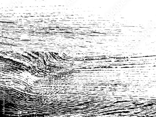 Wood texture pine