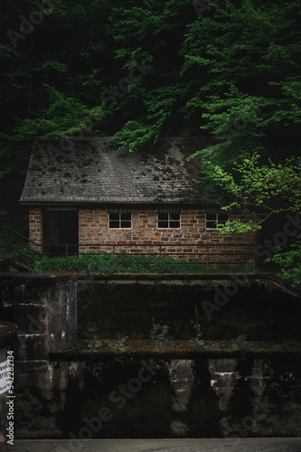 Abandoned house in the forest