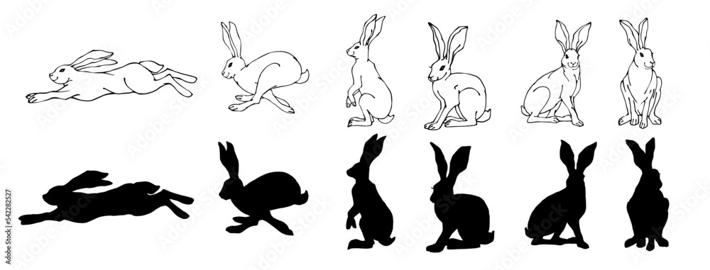 Fototapeta premium Set of sketches and silhouettes of forest animals wild hares.Vector graphics.