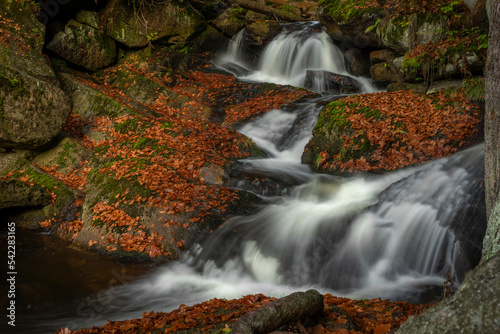 Fototapeta Naklejka Na Ścianę i Meble -  Cerna Desna creek in Jizerske mountains in autumn color morning