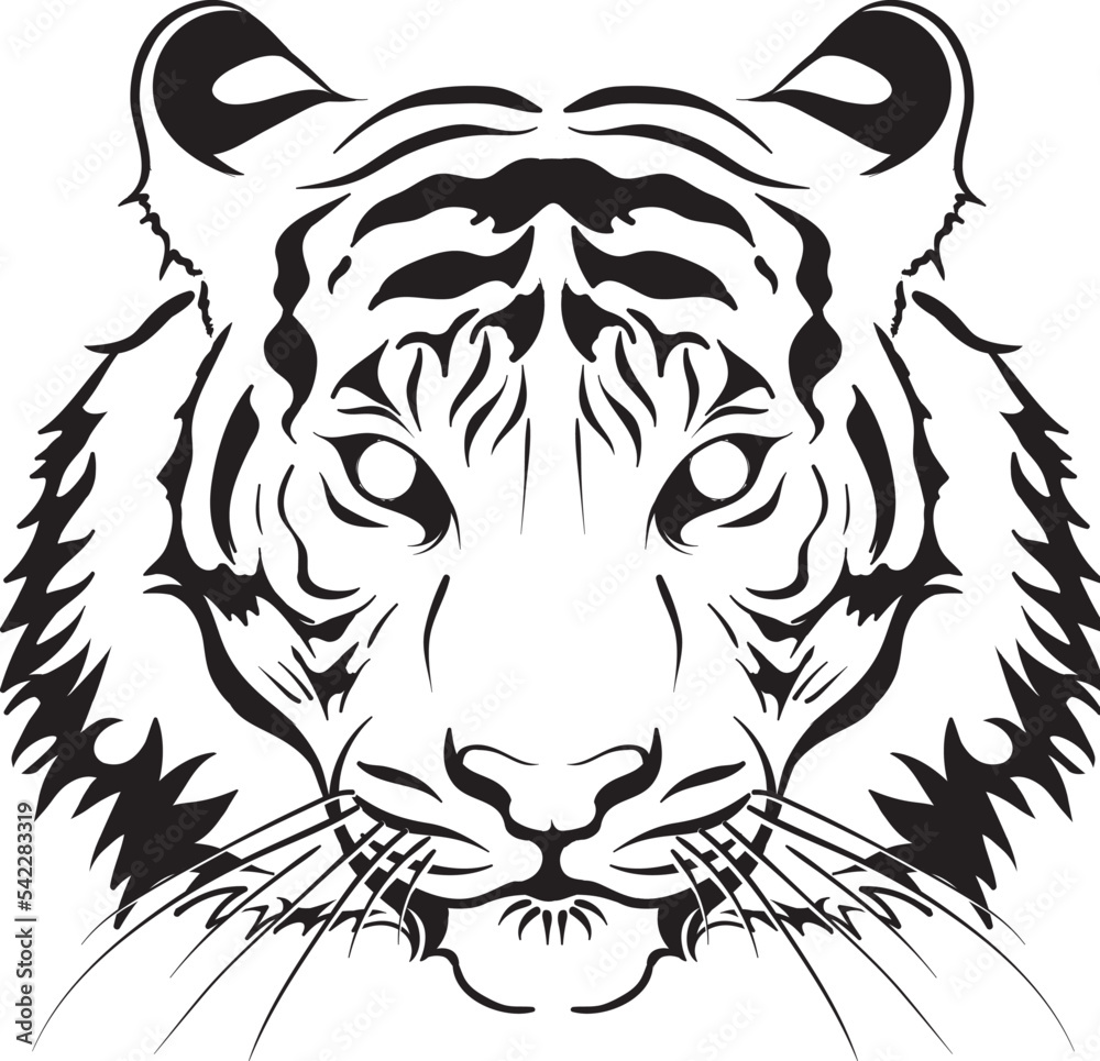 Illustration of the Tiger