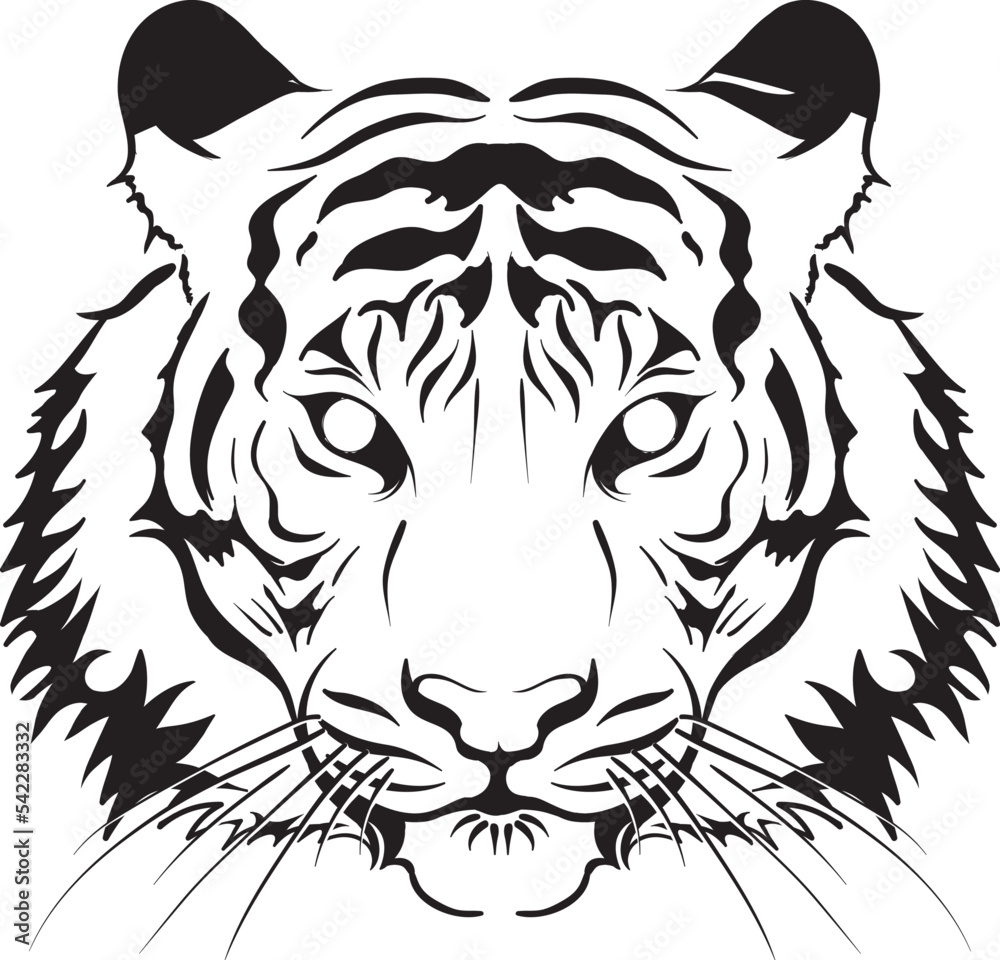Illustration of the Tiger
