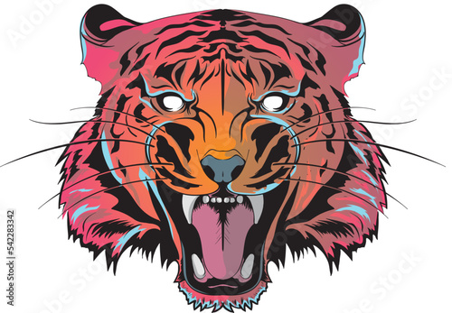 Illustration of the Tiger