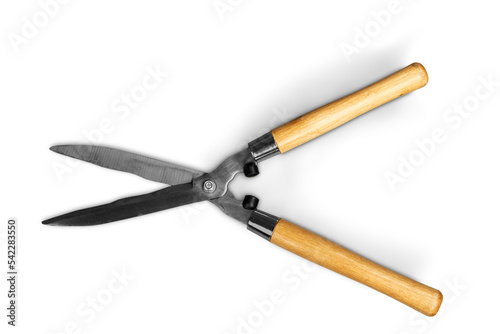 Konstfotografi Hedge Clippers With Clipping Path