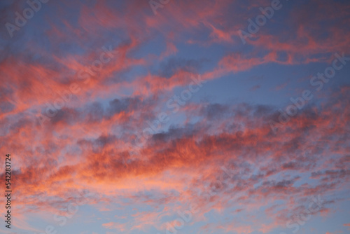 pink red sky on a blue background evening sunset of a winter day. © justoomm