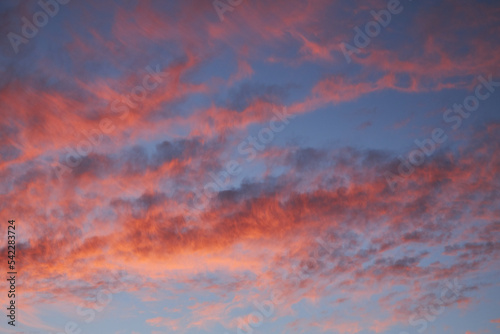 pink red sky on a blue background evening sunset of a winter day.