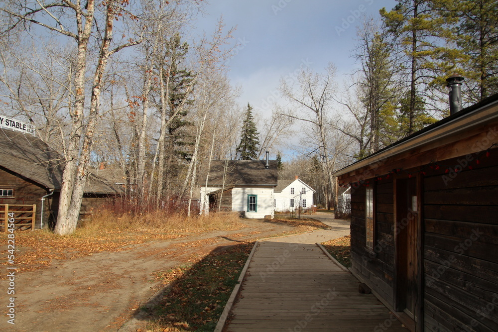 old house in the woods