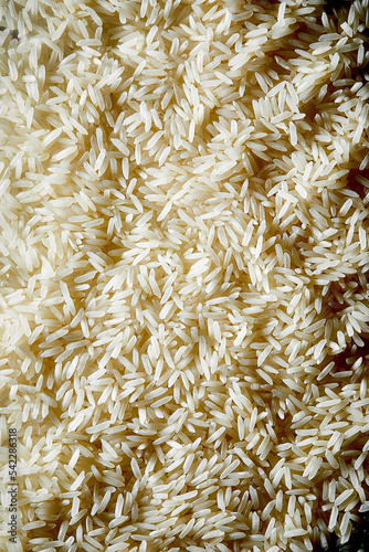 Brown rice macro close up filling the frame