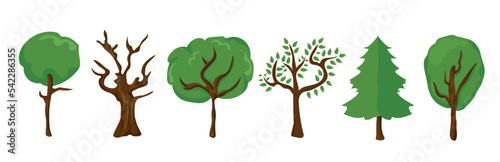 Different kinds of tree illustration vector. Trees with leaves and no leaves.