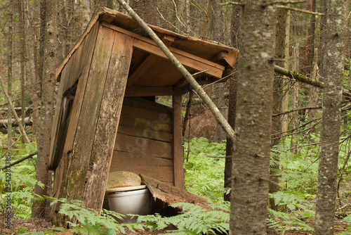 Old abandoned wooden outhouse in the woods. Ancient privy in the forest surrounded by ferns. Broken outbuilding covered in pine needles.